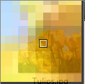 Color picker tool