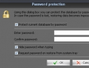 Password Window