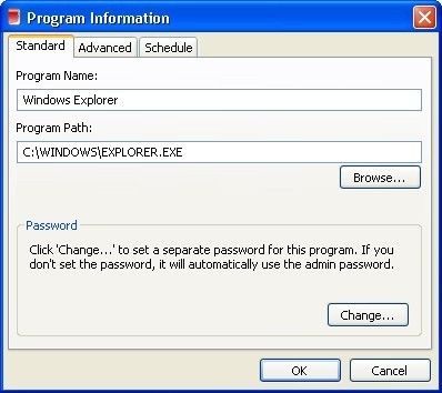 Program information window