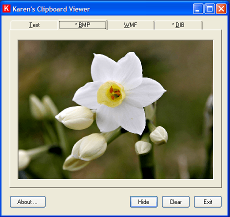 Viewing BMP image in Karen's Clipboard Viewer.