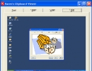 Viewing DIB image in Karen's Clipboard Viewer.
