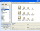 Filetype Themes Window