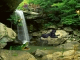 Jungle Falls Screensaver