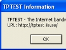 TPTEST Information window