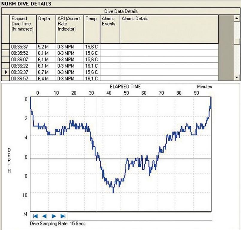 Dive Details Window