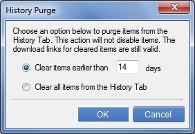 History Purge Window