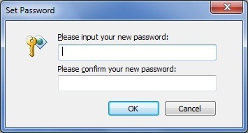 Set Password Window