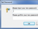 Set Password Window