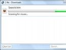 Downloads window