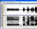 Phonetic Spectrogram