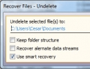 Recovering Files