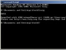 Command Line Window