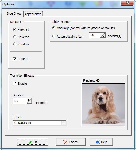 Slide Show Options