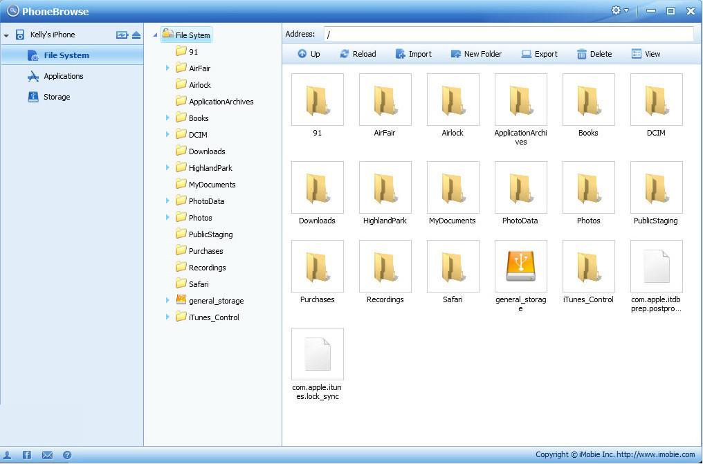 File System Window