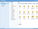 File System Window