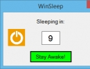 WinSleep Countdown Dialog
