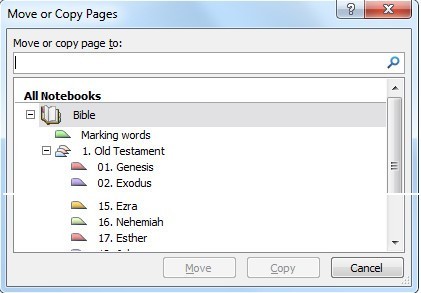 Copy pages Window