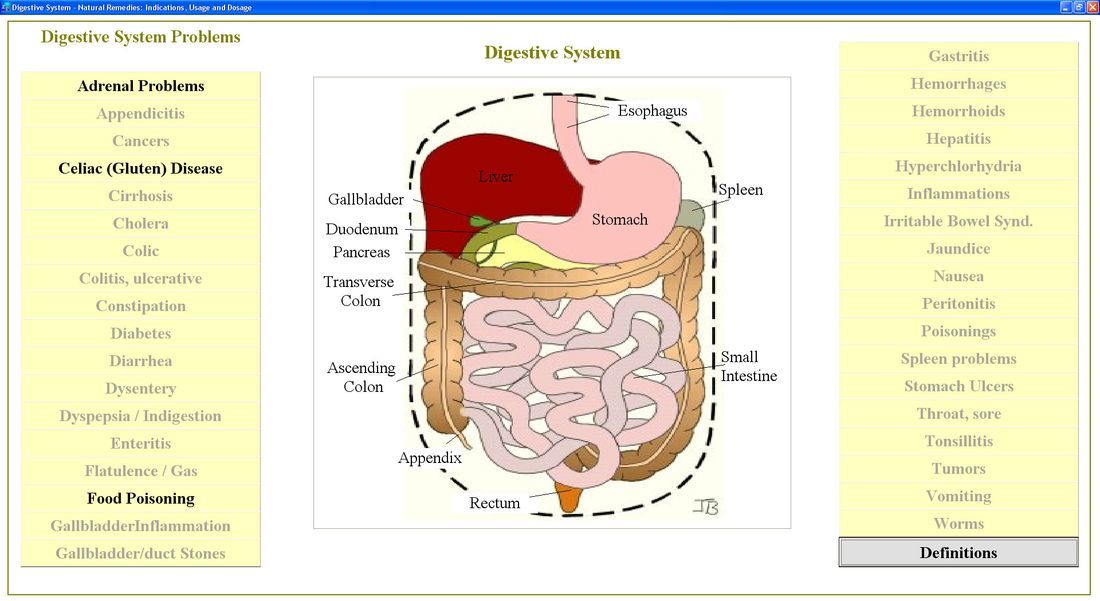 Digestive Info Window