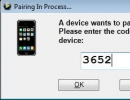 Device Pairing Window