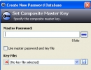 Set master password