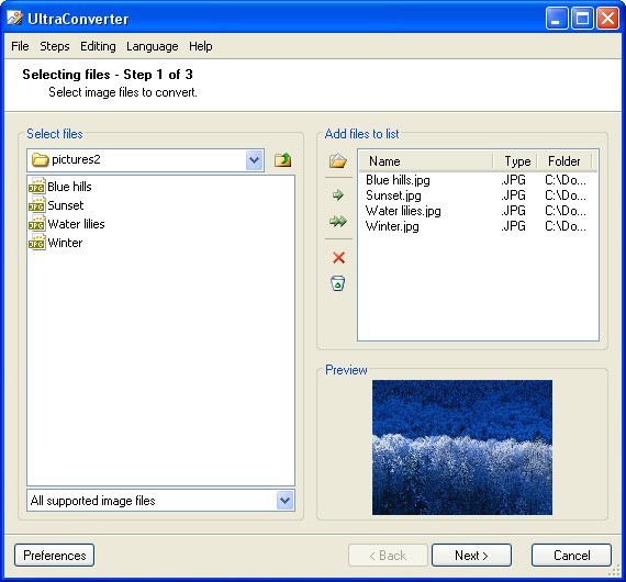 File Selection Window