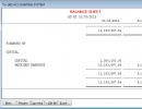 Balance Sheet Window