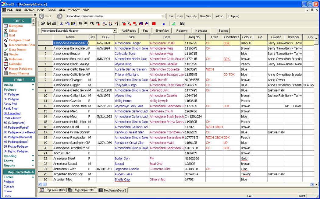 Database Window