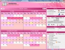 Main interface with menstrual periods
