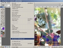 Advanced layering options turns Corelpainter a very realistic virtual paintbrush.