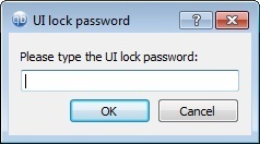 Password protected UI