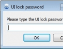 Password protected UI