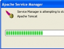 Apache Service manager starting