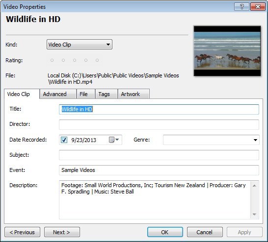 Video File Properties