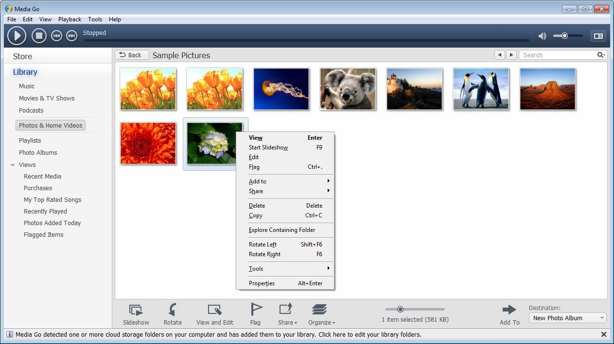 Image Viewer With Context Menu