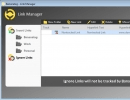 Link Manager Window