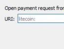 Open payment URL