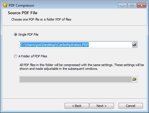 Selecting PDF File
