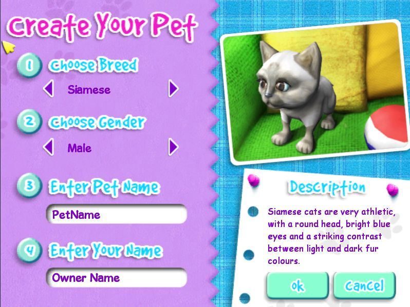 Create your pet 