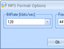 Mp3 format options