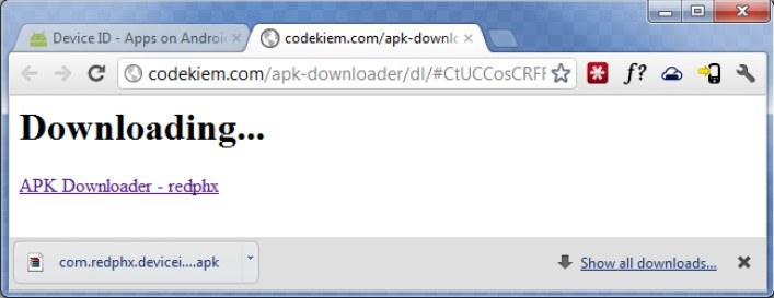 Browser Download Window