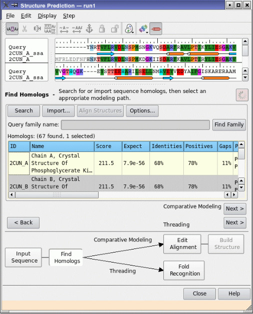 Project Window