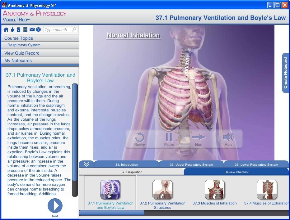 Interactive Lesson Window