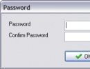 Password protection window