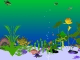 Custom Aquarium Screensaver