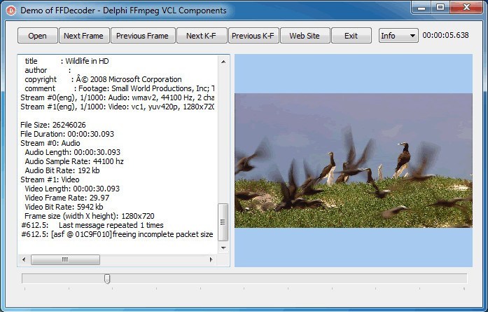 Video Decoder Window