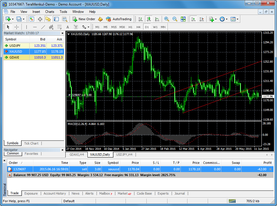 Trading Platform Window