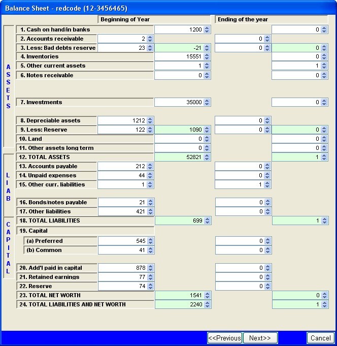 Balance Sheet Window