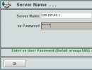 Server Connection Window