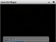 Free FLV Player version