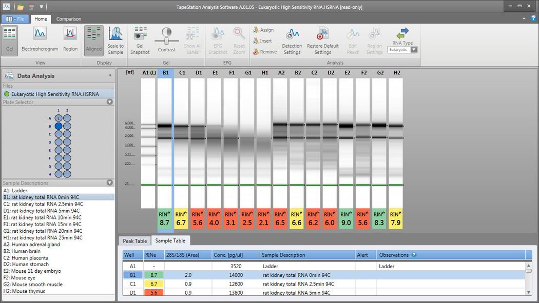 Analysis Window